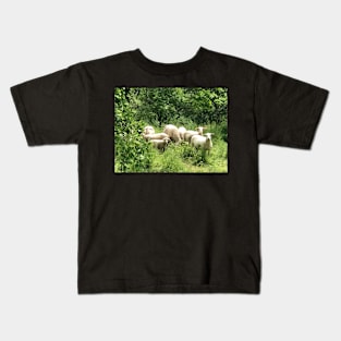 A Flock of Sheep in a Green Pasture Kids T-Shirt